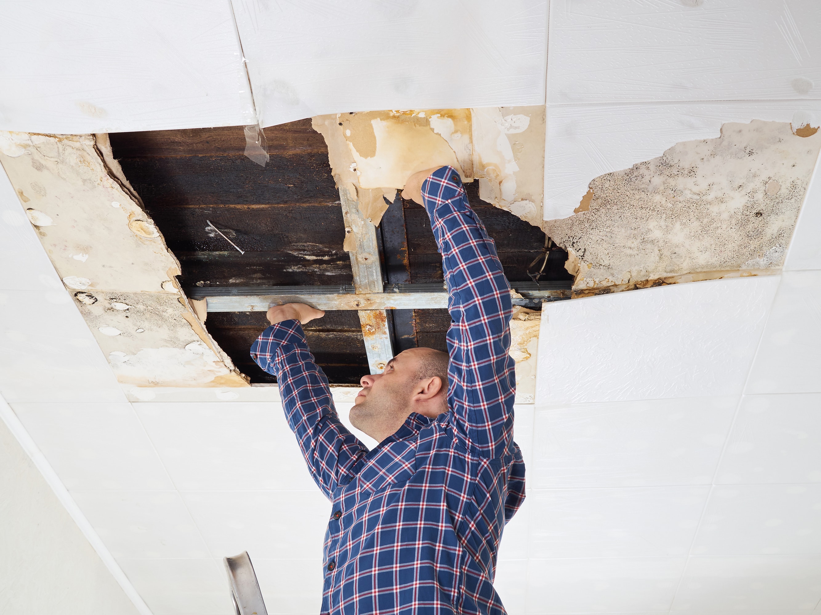 A surveyor checking for hidden mould growth