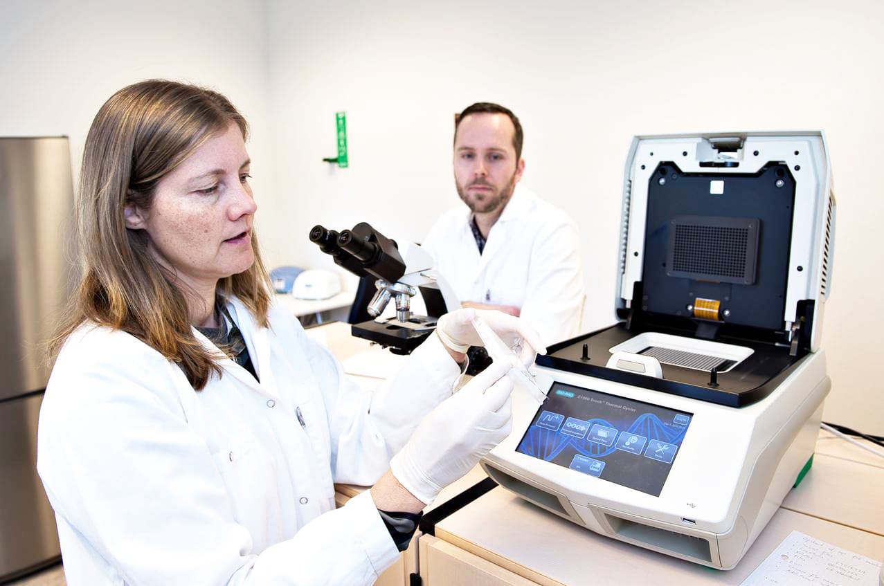 Mould DNA analysis using qPCR testing equipment