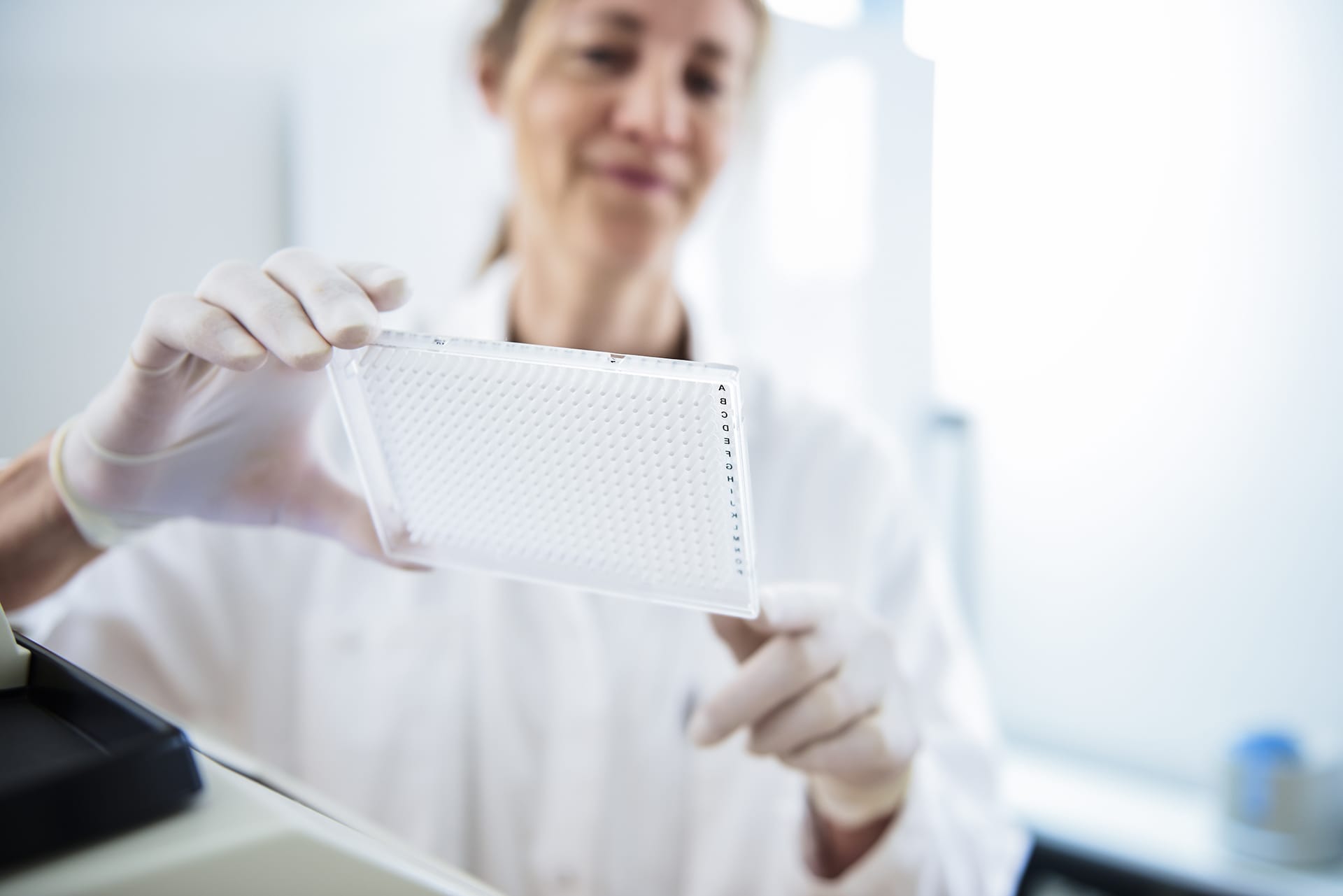 Laboratory technician analysing a mould test