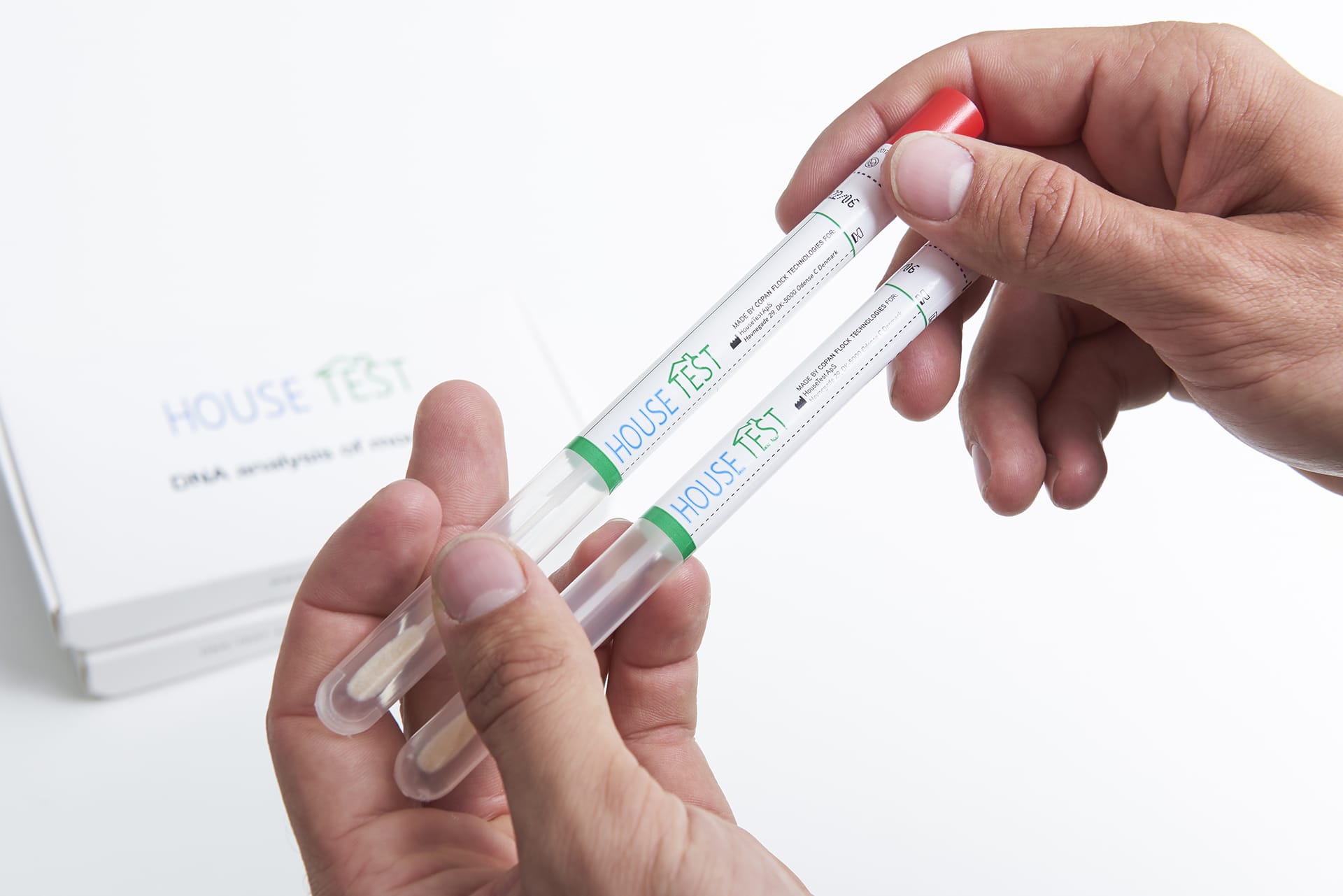 Scientist holding mould testing swabs