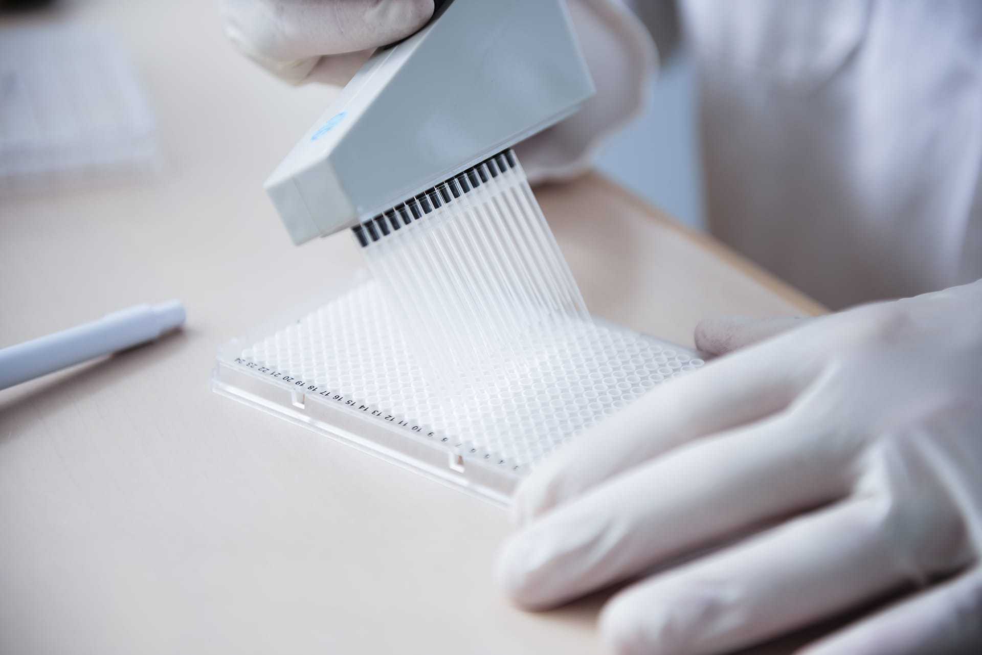 Testing for mould in the laboratory