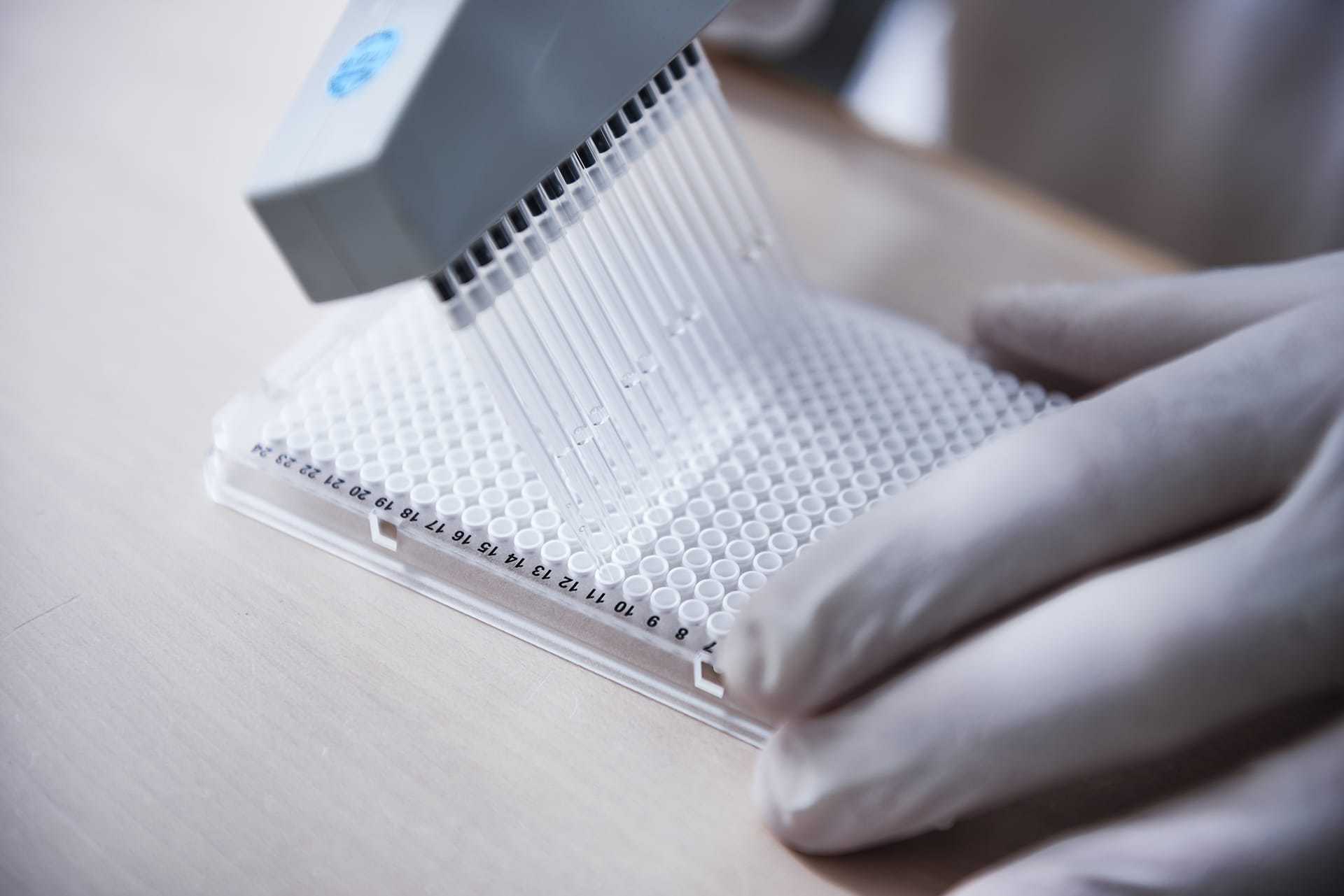 Testing for mould using the qPCR method
