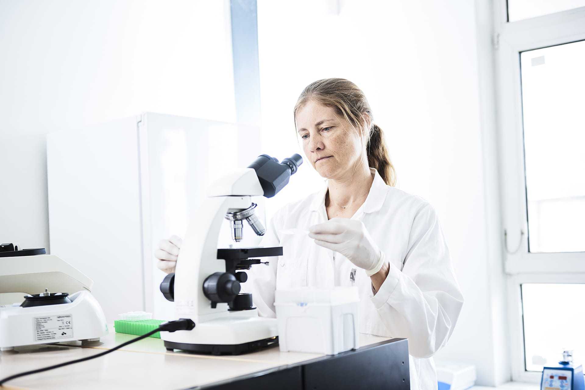 Scientist examining mould in a mould testing laboratory