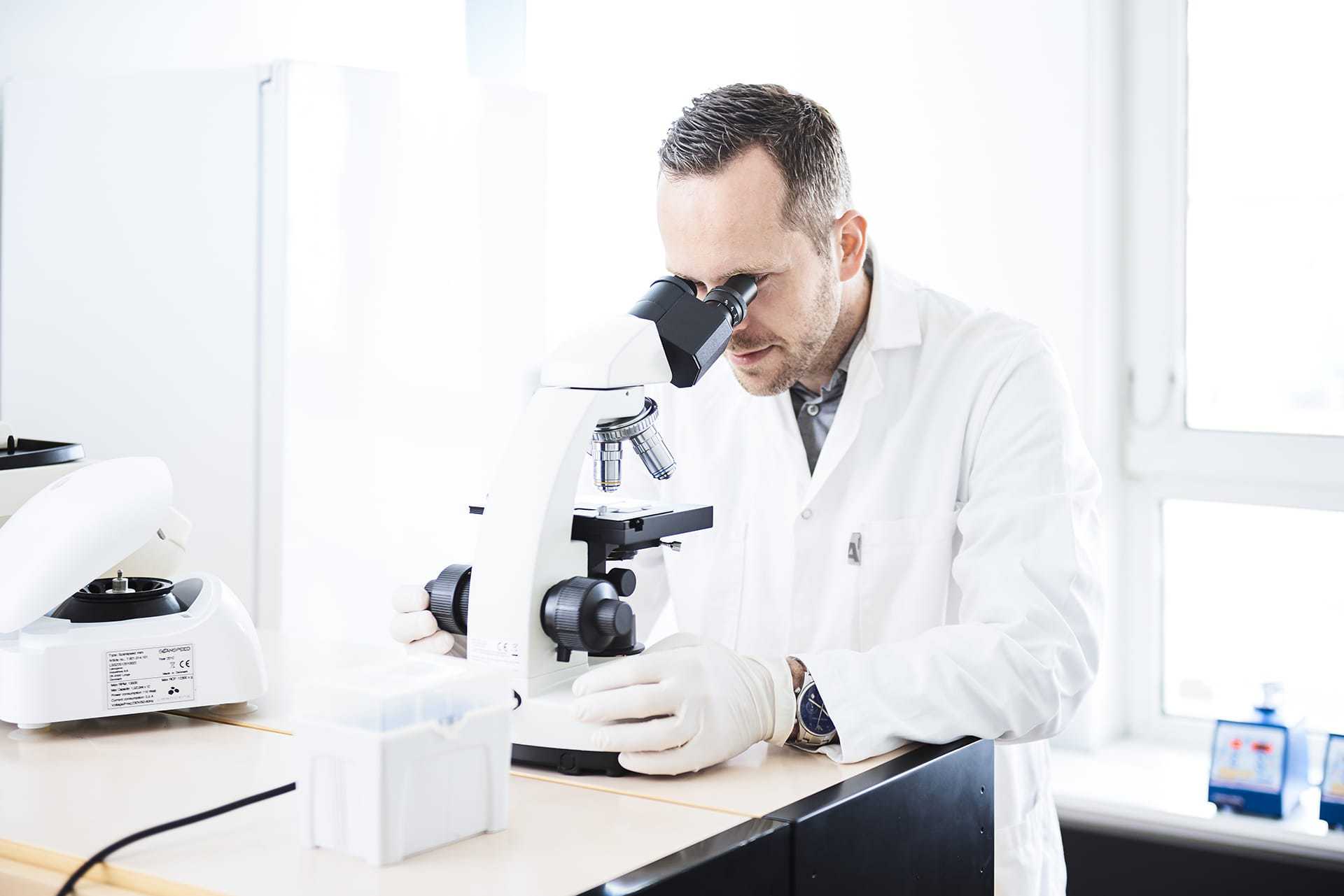 A mould anlayst testing in the lab